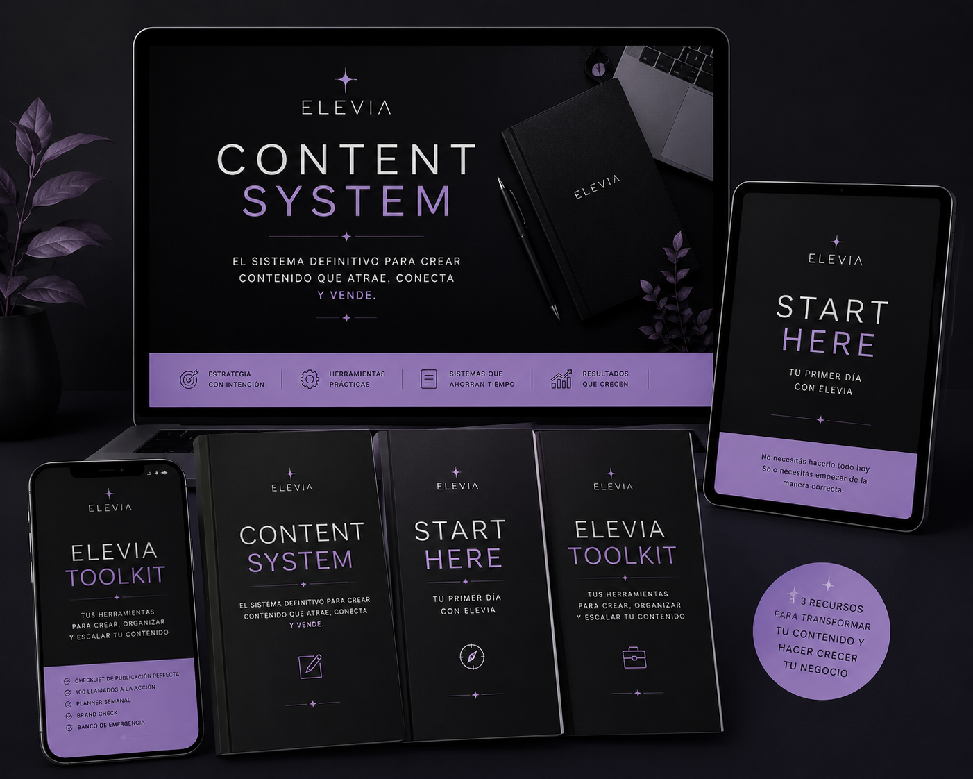 CONTENT SYSTEM